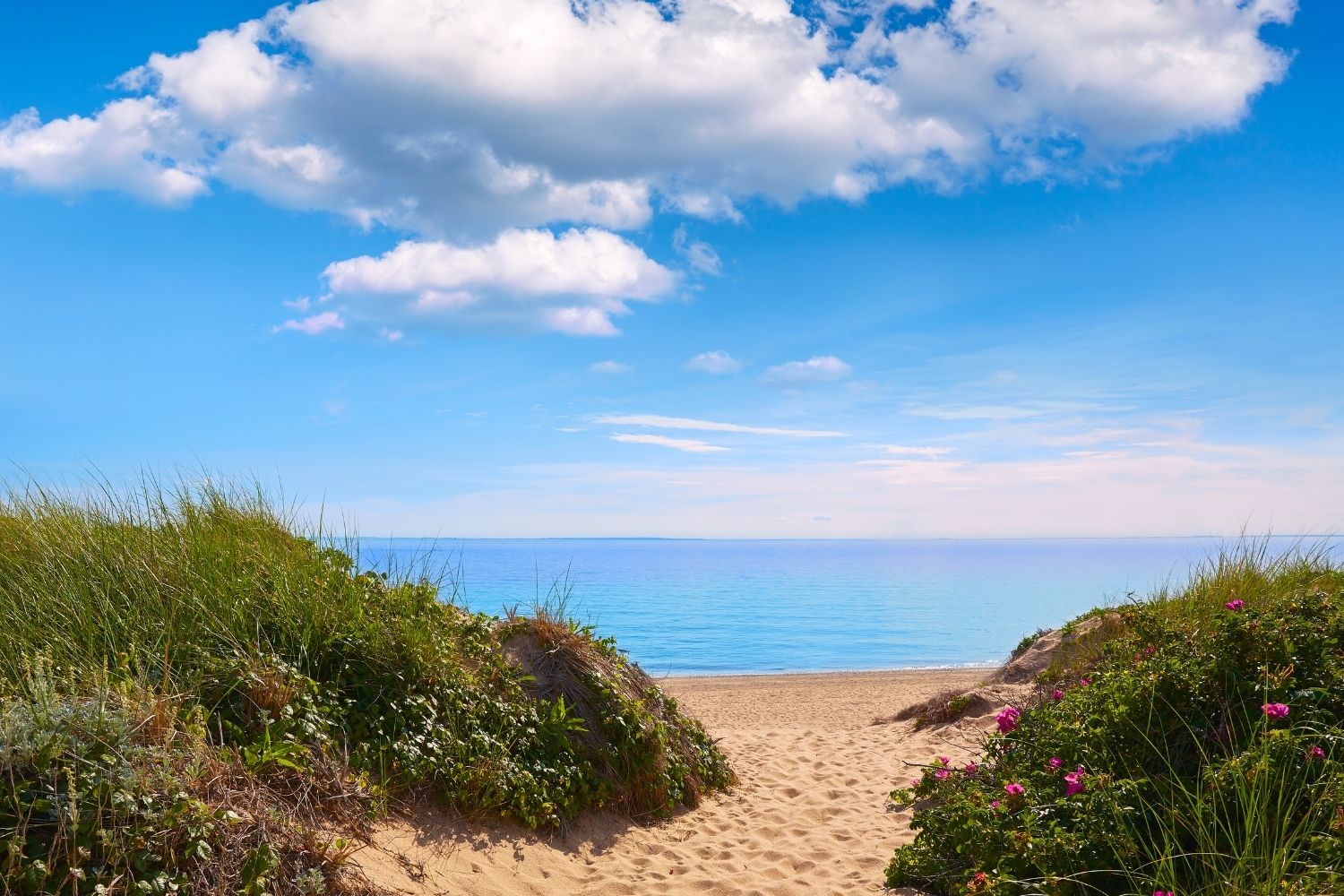 Cape Cod - June 22 - 25, 2026